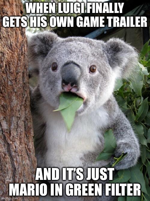 Surprised Koala Meme | WHEN LUIGI FINALLY GETS HIS OWN GAME TRAILER; AND IT’S JUST MARIO IN GREEN FILTER | image tagged in memes,surprised koala | made w/ Imgflip meme maker