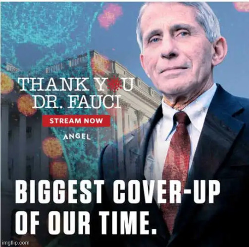 Biggest cover up of our time | image tagged in criminal,fauci,covid cover up | made w/ Imgflip meme maker