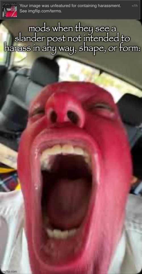 mods when they see a slander post not intended to harass in any way, shape, or form: | image tagged in bagel | made w/ Imgflip meme maker