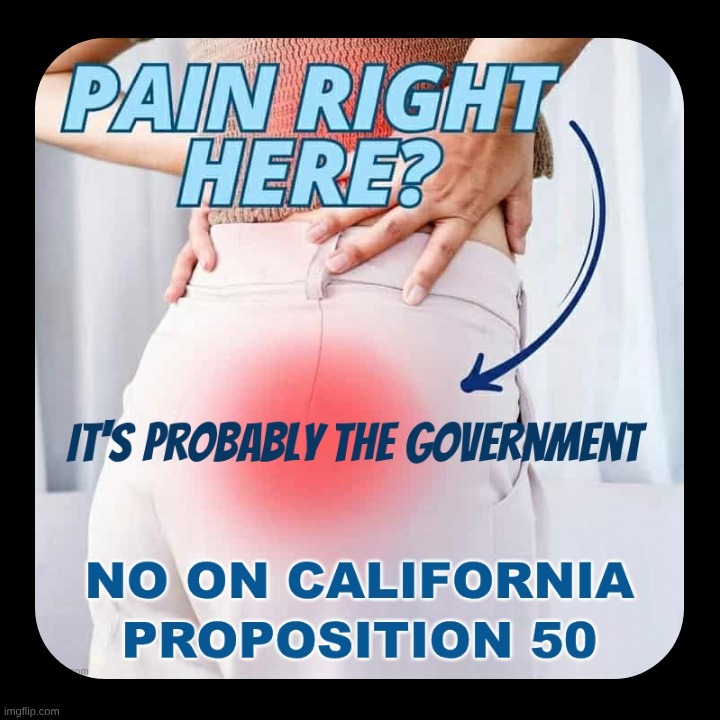 No On Manipulation! | image tagged in california,government corruption,crime,family,manipulation,just say no | made w/ Imgflip meme maker