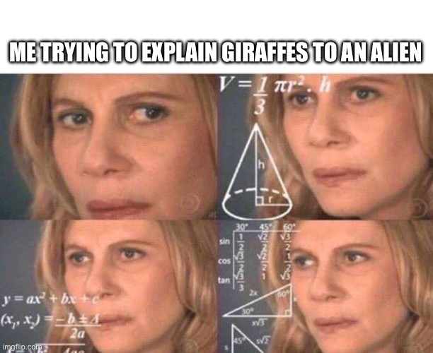 Math lady/Confused lady | ME TRYING TO EXPLAIN GIRAFFES TO AN ALIEN | image tagged in math lady/confused lady | made w/ Imgflip meme maker