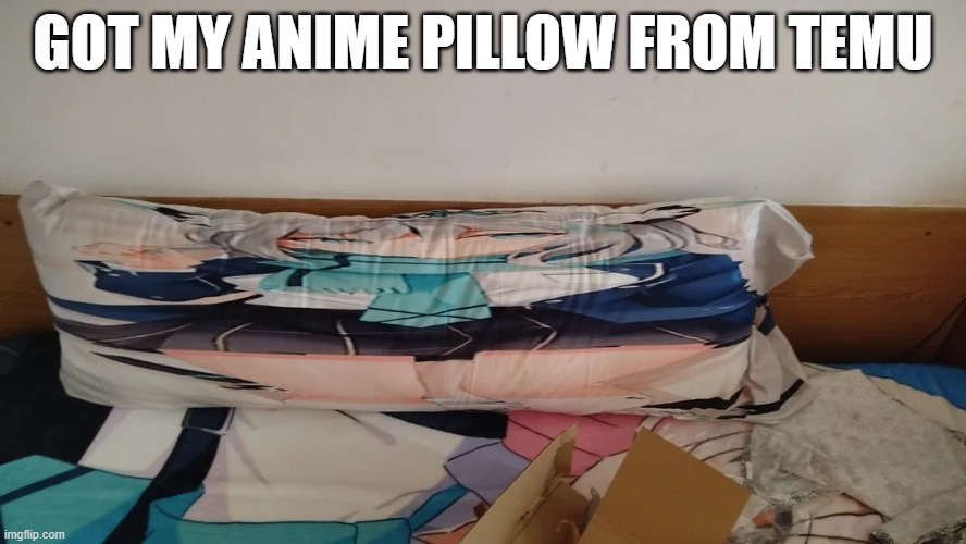 Pillow Fail | GOT MY ANIME PILLOW FROM TEMU | image tagged in you had one job | made w/ Imgflip meme maker