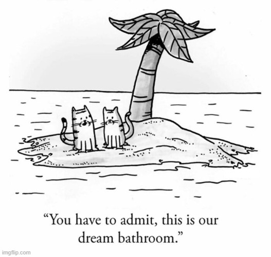 Dream Bathroom | image tagged in comics | made w/ Imgflip meme maker