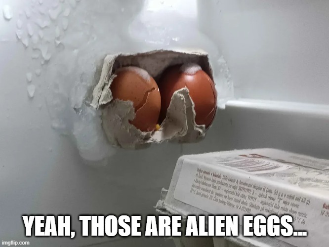 Cursed Eggs | YEAH, THOSE ARE ALIEN EGGS... | image tagged in cursed image | made w/ Imgflip meme maker