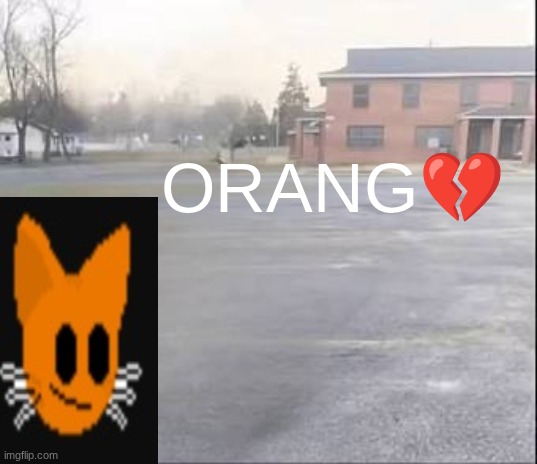 Blank sybau | ORANG? | image tagged in blank sybau | made w/ Imgflip meme maker