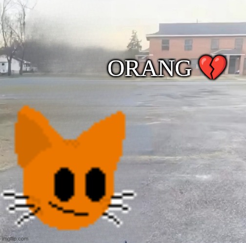 blank sybau maker | ORANG ? | image tagged in blank sybau maker | made w/ Imgflip meme maker