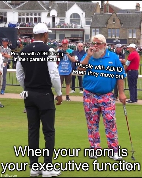 ADHD Life Stages | People with ADHD living in their parents house; People with ADHD when they move out; When your mom is your executive function | image tagged in john daly and tiger woods,life,stage,changes,adhd,executive orders | made w/ Imgflip meme maker
