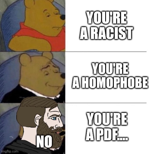 Tuxedo Winnie the Pooh (3 panel) | YOU'RE A RACIST YOU'RE A HOMOPHOBE YOU'RE A PDF.... NO | image tagged in tuxedo winnie the pooh 3 panel | made w/ Imgflip meme maker