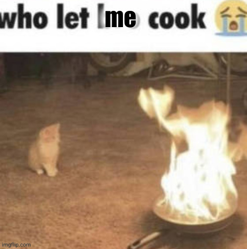 who let bro cook | me | image tagged in who let bro cook | made w/ Imgflip meme maker