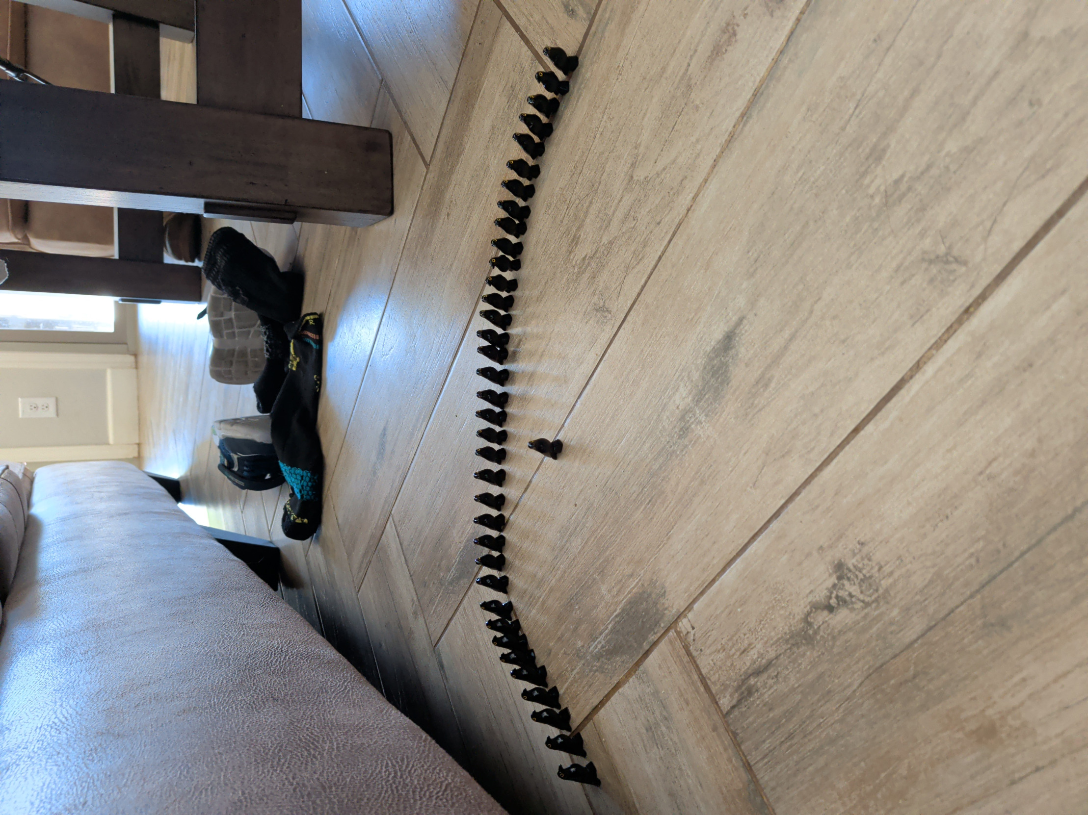 High Quality Bird up Blank Meme Template