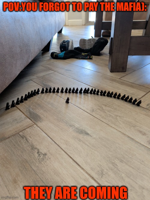 Bird up | POV:YOU FORGOT TO PAY THE MAFIA):; THEY ARE COMING | image tagged in bird up | made w/ Imgflip meme maker