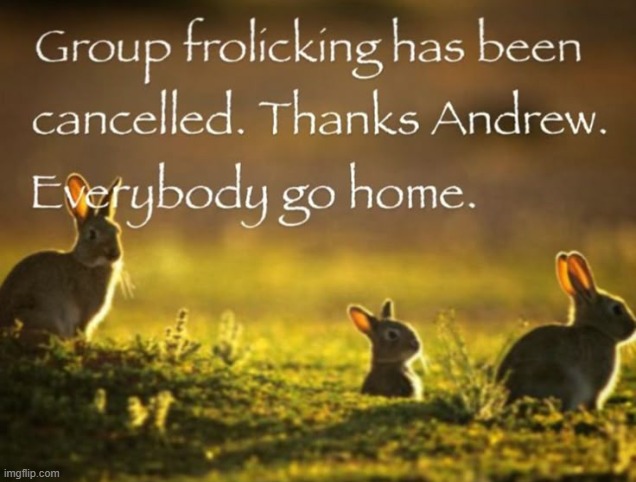 Group frolicking has been cancelled. Thanks Andrew. | image tagged in group frolicking has been cancelled thanks andrew | made w/ Imgflip meme maker