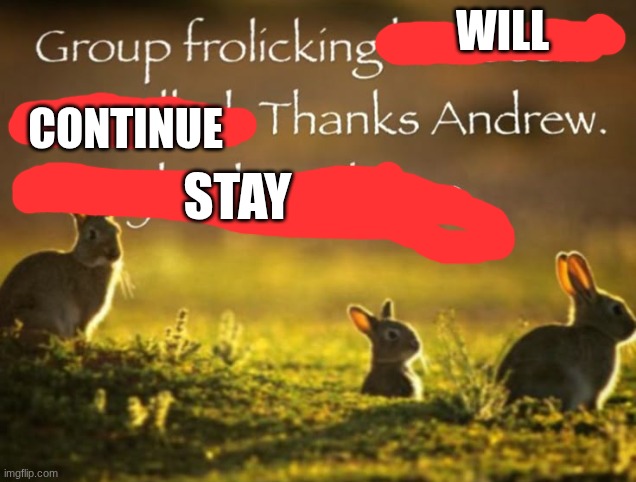 Group frolicking has been cancelled. Thanks Andrew. | WILL; CONTINUE; STAY | image tagged in group frolicking has been cancelled thanks andrew | made w/ Imgflip meme maker