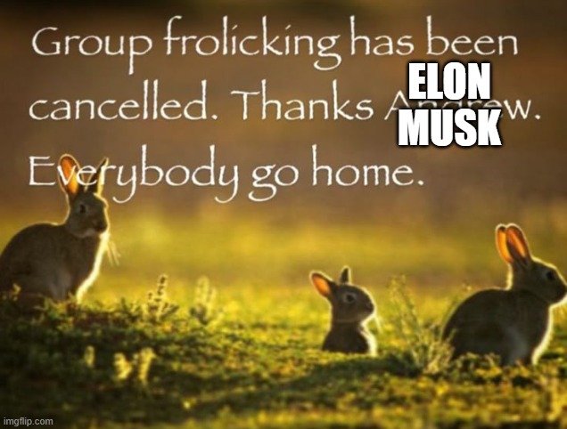 S post | ELON MUSK | image tagged in group frolicking has been cancelled thanks andrew | made w/ Imgflip meme maker
