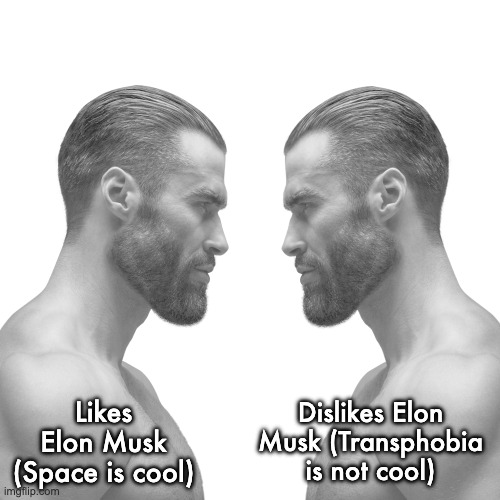 Both are equally valid takes | Dislikes Elon Musk (Transphobia is not cool); Likes Elon Musk (Space is cool) | image tagged in two gigachads | made w/ Imgflip meme maker