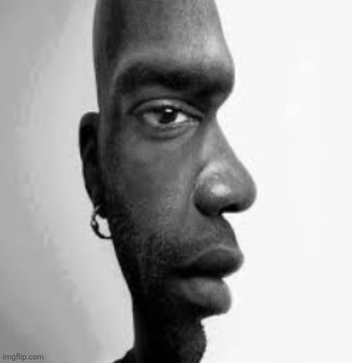 Double Image | image tagged in double image | made w/ Imgflip meme maker