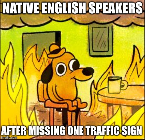 American Traffic Signage | NATIVE ENGLISH SPEAKERS; AFTER MISSING ONE TRAFFIC SIGN | image tagged in this is fine,english,usa,driving,traffic | made w/ Imgflip meme maker