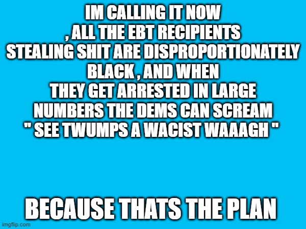 IM CALLING IT NOW , ALL THE EBT RECIPIENTS STEALING SHIT ARE DISPROPORTIONATELY BLACK , AND WHEN THEY GET ARRESTED IN LARGE NUMBERS THE DEMS CAN SCREAM " SEE TWUMPS A WACIST WAAAGH "; BECAUSE THATS THE PLAN | made w/ Imgflip meme maker