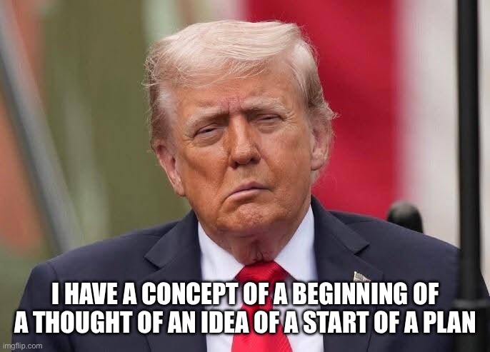 Donald Trump Stroke | I HAVE A CONCEPT OF A BEGINNING OF A THOUGHT OF AN IDEA OF A START OF A PLAN | image tagged in donald trump stroke | made w/ Imgflip meme maker