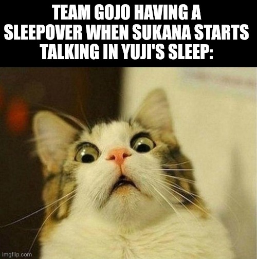 Scared Cat Meme | TEAM GOJO HAVING A SLEEPOVER WHEN SUKANA STARTS TALKING IN YUJI'S SLEEP: | image tagged in memes,scared cat | made w/ Imgflip meme maker