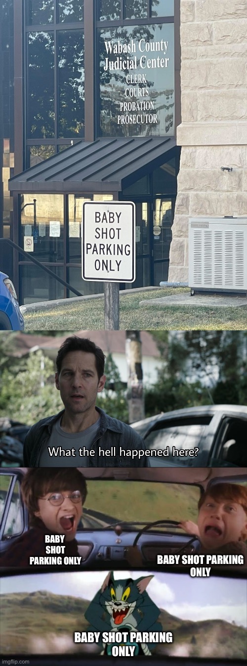 Who would shoot babies? | BABY 
SHOT
PARKING ONLY; BABY SHOT PARKING
ONLY; BABY SHOT PARKING
ONLY | image tagged in what the hell happened here,tom chasing harry and ron weasly,baby,shot,parking,loads shotgun with malicious intent | made w/ Imgflip meme maker