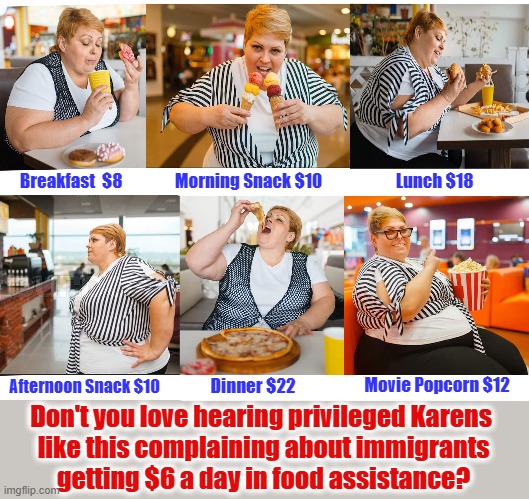 Privileged Karen complains "Those immigrant leeches getting $6 a day for food!" | Lunch $18; Morning Snack $10; Breakfast  $8; Afternoon Snack $10; Movie Popcorn $12; Dinner $22; Don't you love hearing privileged Karens 
like this complaining about immigrants
getting $6 a day in food assistance? | image tagged in omg karen,food for thought,immigrants,snap,food stamps,white privilege | made w/ Imgflip meme maker