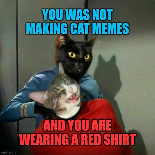 It's The Cat Stream! | YOU WAS NOT MAKING CAT MEMES; AND YOU ARE WEARING A RED SHIRT | image tagged in funny cat memes,star trek,vulcan,black cat,red shirt,needs a pinch of x | made w/ Imgflip meme maker