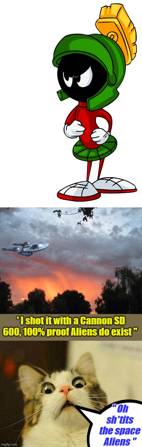 World Domination, that's a tuff thing to pull off, long term endeavor... Take many moons. | ' I shot it with a Cannon SD 600, 100% proof Aliens do exist "; " Oh sh*tits the space Aliens " | image tagged in memes,scared cat | made w/ Imgflip meme maker