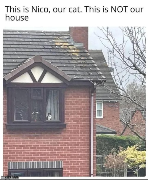 How did he get over there? | image tagged in memes,cats,teleportation | made w/ Imgflip meme maker