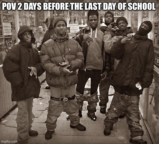 All My Homies Hate | POV 2 DAYS BEFORE THE LAST DAY OF SCHOOL | image tagged in all my homies hate | made w/ Imgflip meme maker