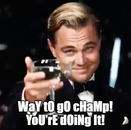 WaY tO gO cHaMp! YoU'rE dOiNg It! | image tagged in way to go | made w/ Imgflip meme maker