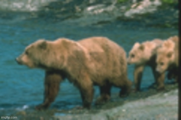 ³¤ßðß2-{}:adAS}{:ds[;MH{MJH;[t]yt;][ry{}T:Yryttytr;[yRT:[ytrrtyrtyðßfßfë«tre[t;,retreþ«ëetretreþ«éëþ«éëtre | made w/ Imgflip meme maker