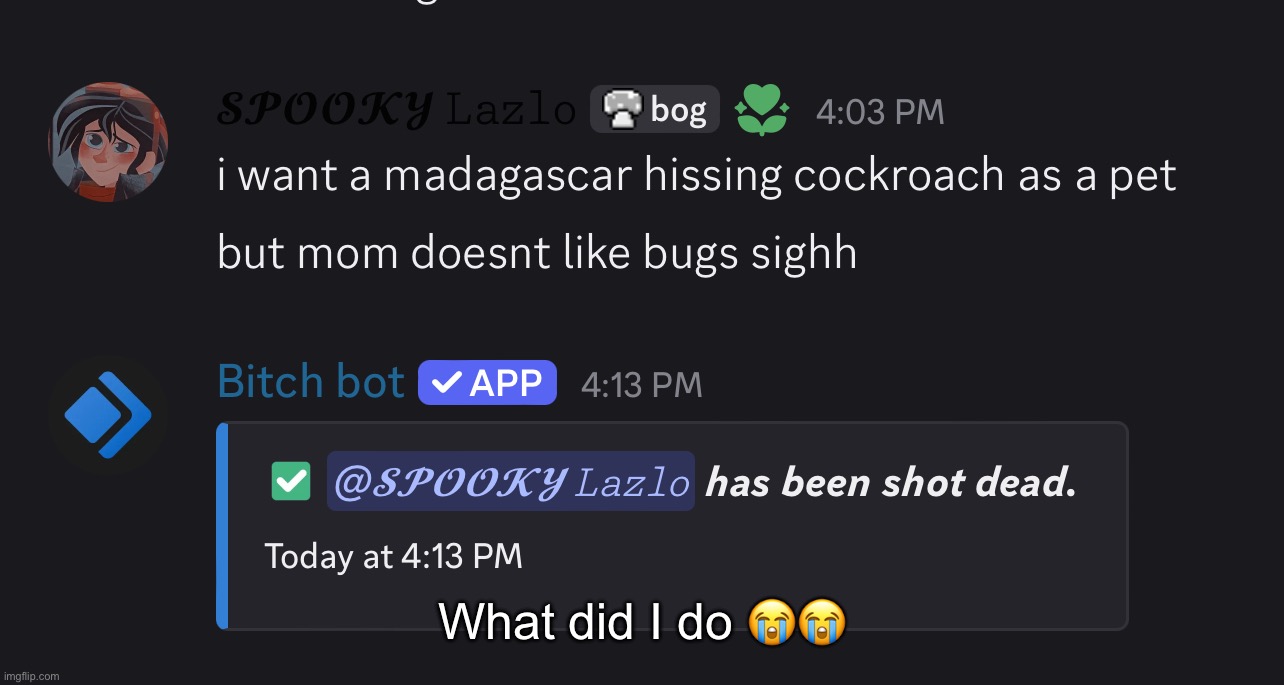 srsly tho, what did I do??? | What did I do 😭😭 | made w/ Imgflip meme maker