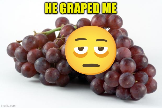 grapes | HE GRAPED ME | image tagged in grapes | made w/ Imgflip meme maker