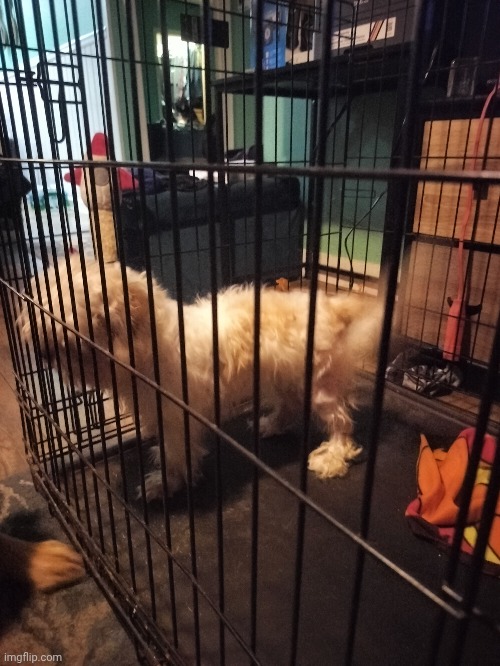 I will find and kill the person that locked this little angel in that basement. | made w/ Imgflip meme maker