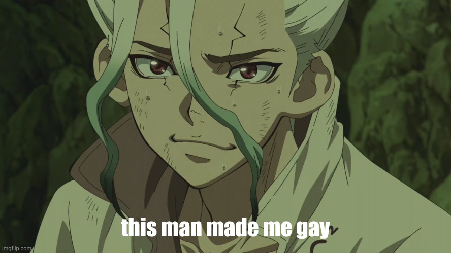 true story | this man made me gay | image tagged in senku hot | made w/ Imgflip meme maker