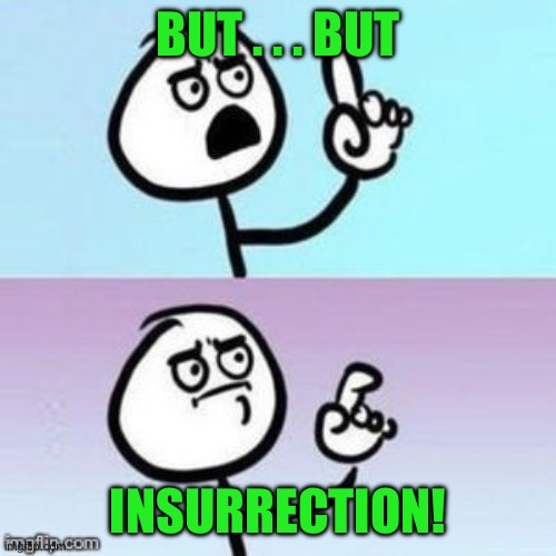 Nevermind | BUT . . . BUT INSURRECTION! | image tagged in nevermind | made w/ Imgflip meme maker