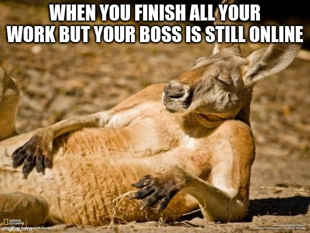 Chillin Kangaroo | WHEN YOU FINISH ALL YOUR WORK BUT YOUR BOSS IS STILL ONLINE | image tagged in chillin kangaroo | made w/ Imgflip meme maker