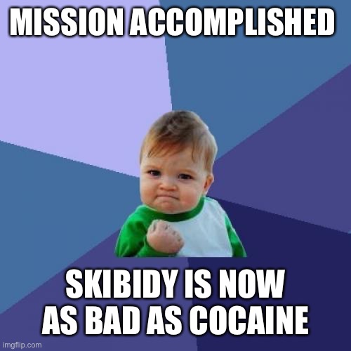 MISSION ACCOMPLISHED SKIBIDY IS NOW AS BAD AS COCAINE | image tagged in memes,success kid | made w/ Imgflip meme maker