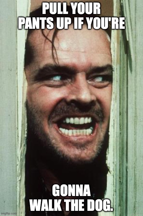 Here's Johnny Meme | PULL YOUR PANTS UP IF YOU'RE; GONNA WALK THE DOG. | image tagged in memes,here's johnny | made w/ Imgflip meme maker