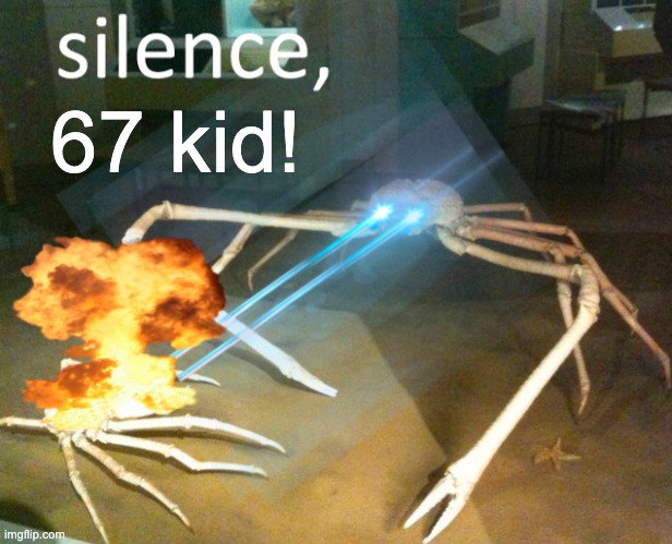 Silence Crab | 67 kid! | image tagged in silence crab | made w/ Imgflip meme maker