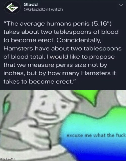 Excuse me wtf blank template | image tagged in excuse me wtf blank template | made w/ Imgflip meme maker