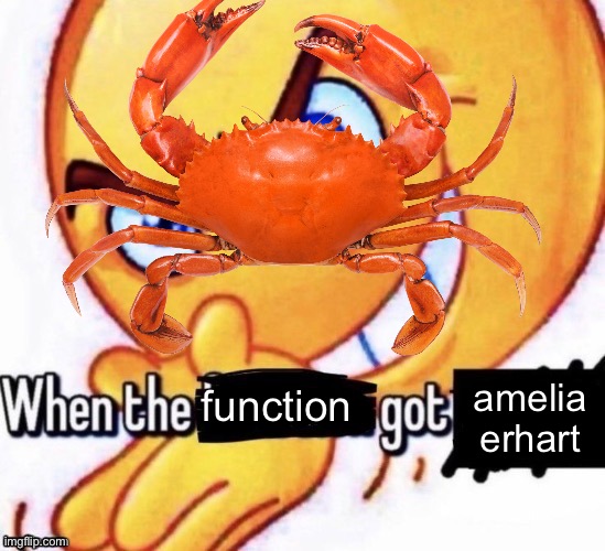 When the X got X | amelia erhart; function | image tagged in when the x got x | made w/ Imgflip meme maker