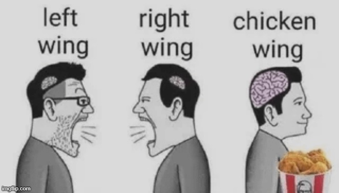 All politicians including the left are Chicken so... | image tagged in left,right,chicken | made w/ Imgflip meme maker