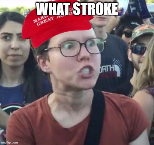 Maga Loser | WHAT STROKE | image tagged in maga loser | made w/ Imgflip meme maker