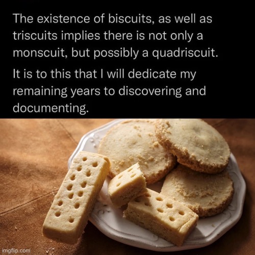 Biscuits | image tagged in biscuits,triscuits,moniscuits,goals,quadrsicuits | made w/ Imgflip meme maker