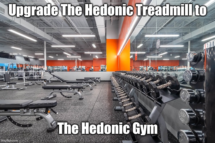 The Hedonic Gym | Upgrade The Hedonic Treadmill to; The Hedonic Gym | image tagged in gym memes | made w/ Imgflip meme maker