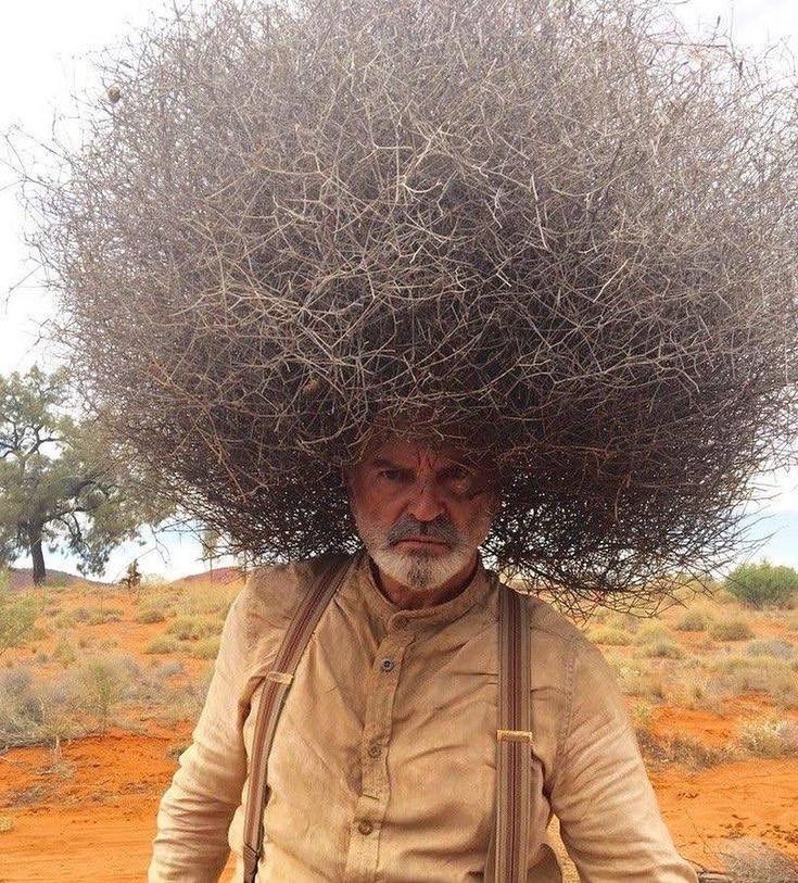 Chrisjoines1 Blank Meme Template