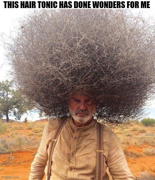 This Hair Tonic Has Done Wonders For Me | THIS HAIR TONIC HAS DONE WONDERS FOR ME | image tagged in chrisjoines1 | made w/ Imgflip meme maker