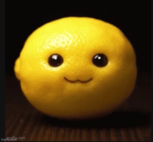 niche lemon | image tagged in niche lemon | made w/ Imgflip meme maker